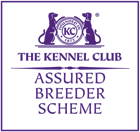 kennel club assured breeder