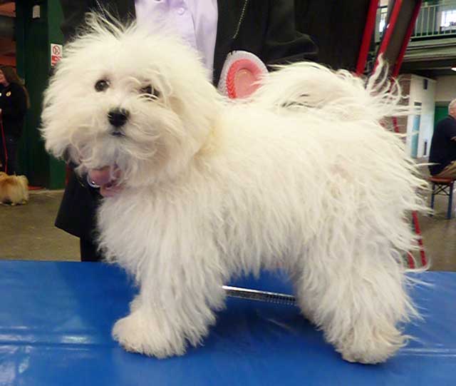 Zita our beautiful new girl from Bologna in Italy Zita our beautiful new girl from Bologna in Italy