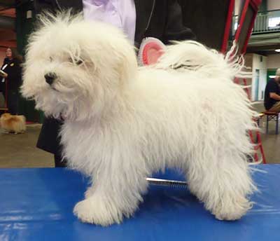 Devonias Zita Devonias Zita